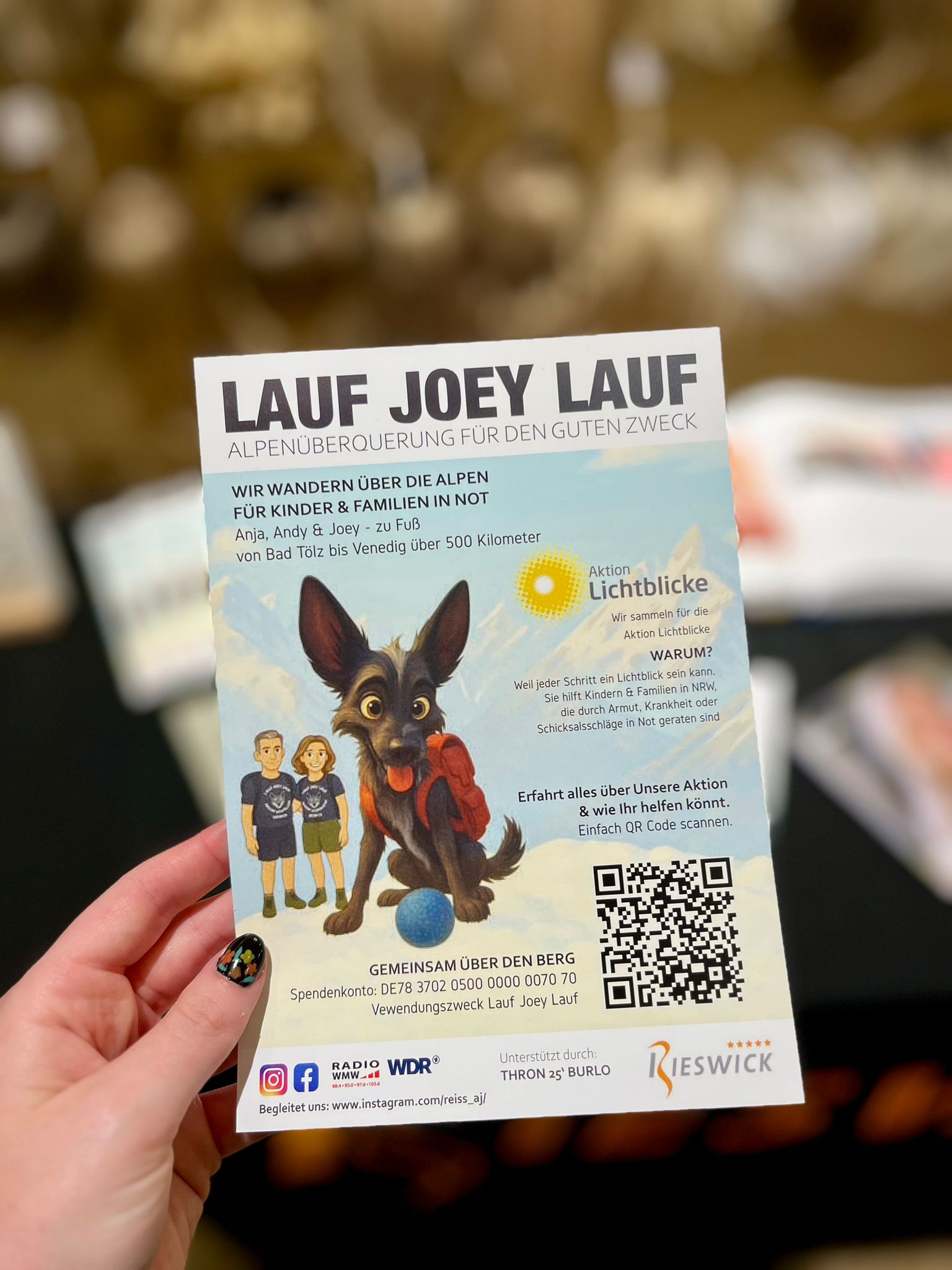 Flyer zu der Aktion „Lauf Joey Lauf“
